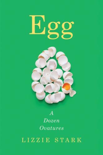 This is the book cover for 'Egg' by Lizzie Stark