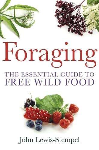 This is the book cover for 'Foraging' by John Lewis-Stempel