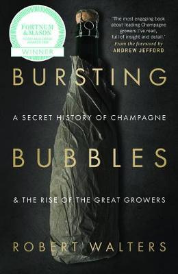 This is the book cover for 'Bursting Bubbles' by Robert Walters